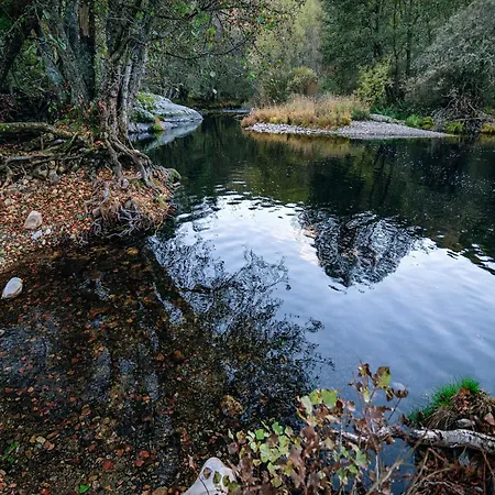 In Appartamento La Omañuela