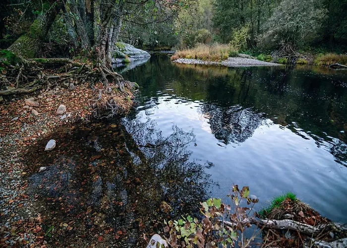 In Daire La Omañuela